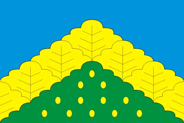 Флаг: Комсомольский муниципальный округ